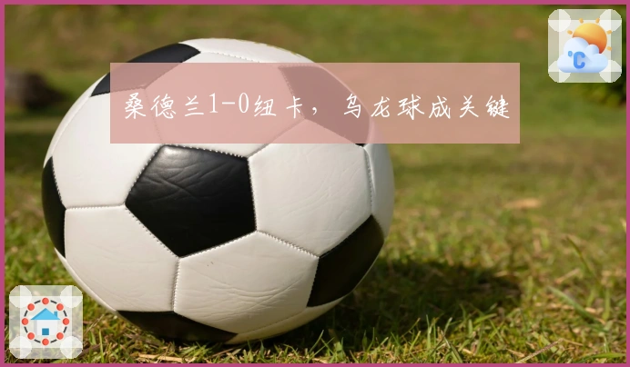 桑德兰1-0纽卡，乌龙球成关键