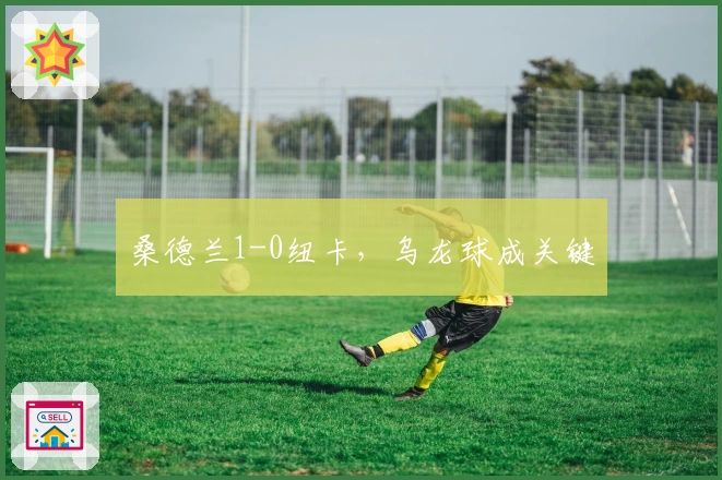 桑德兰1-0纽卡，乌龙球成关键